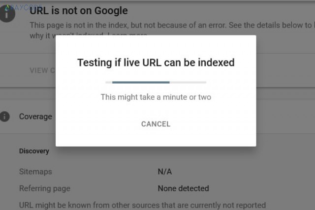 آیا اطمینان دارید که صفحه شما در گوگل قابل جستجو است! 