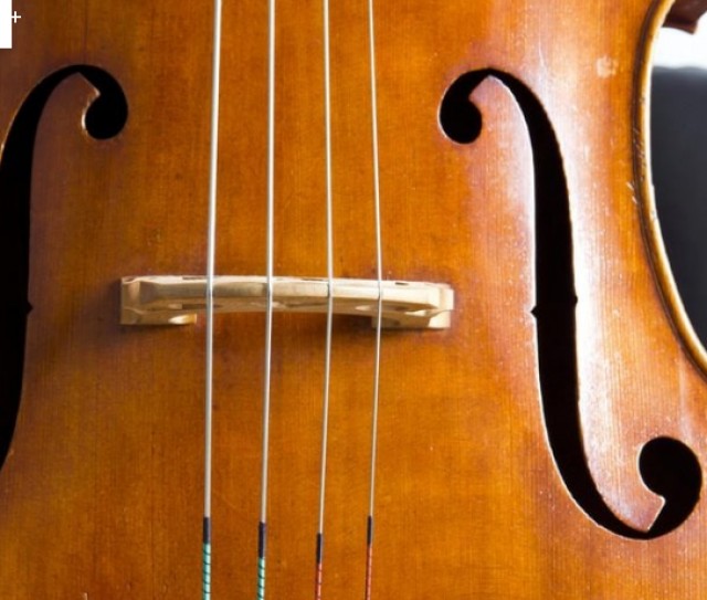 آیا می دانستید تارهای ساز از حیوانات ساخته شده است؟